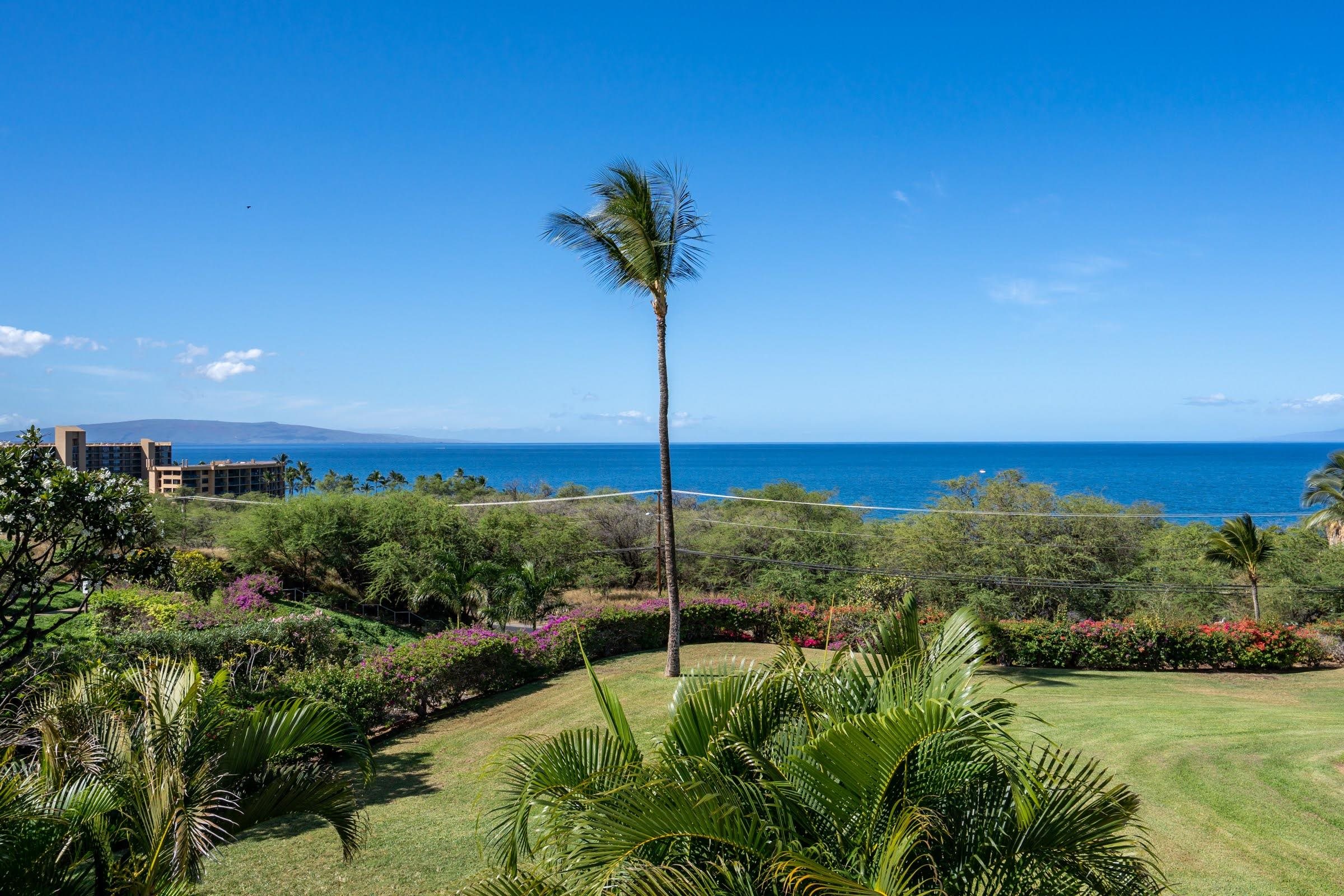 Maui Property Image