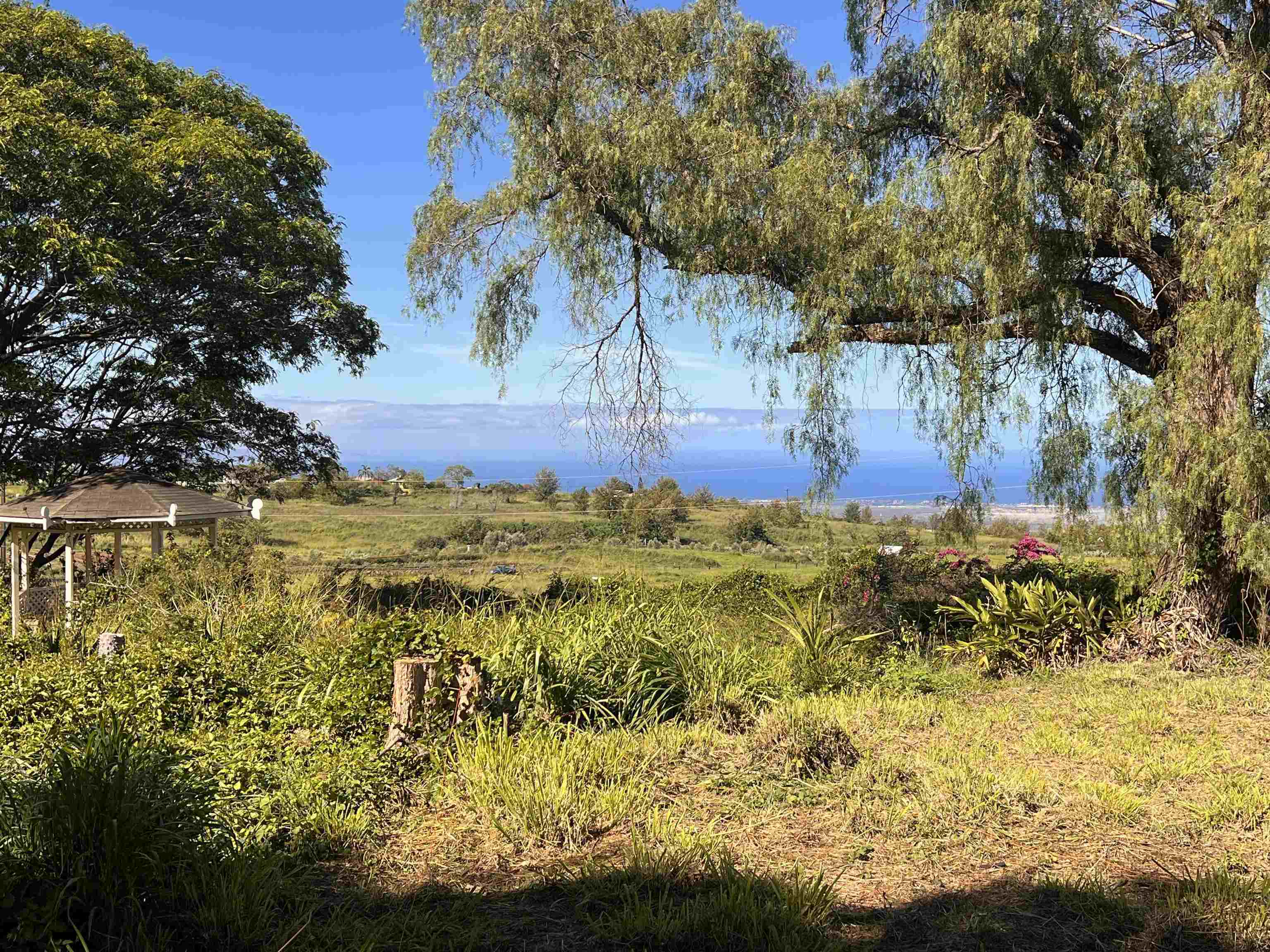 Maui Property Image