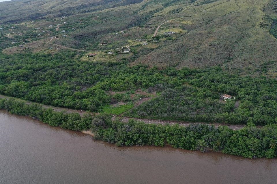 Maui Property Image