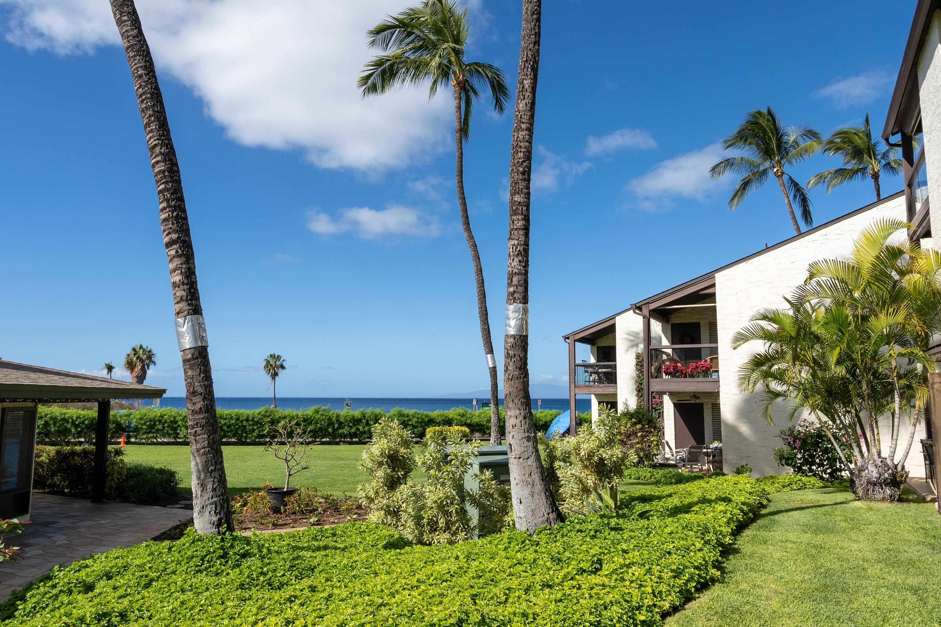 Maui Property Image