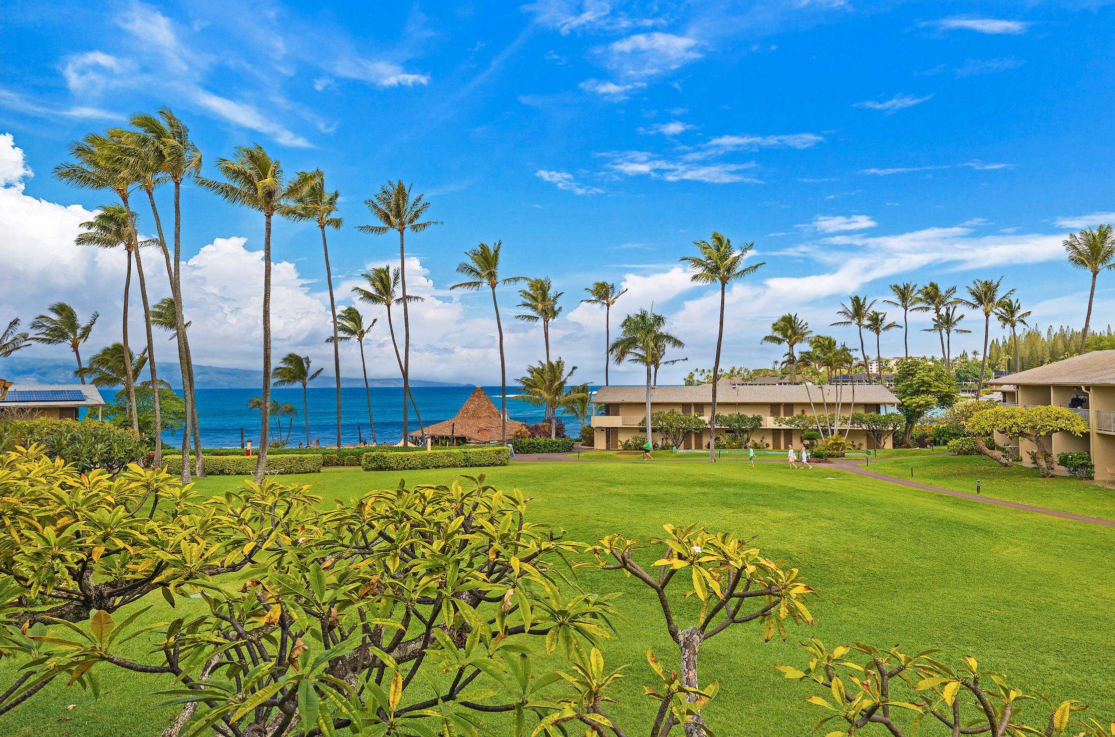 Maui Property Image