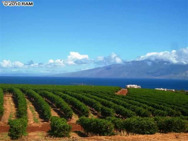 Photo 3 of  2130 Aina Mahiai Pl, Kaanapali, Maui, Hawaii