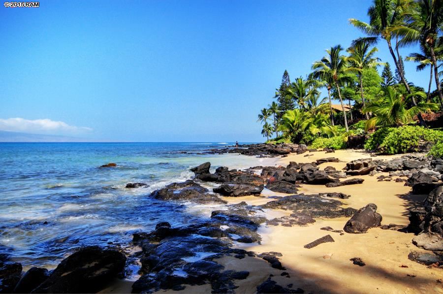 Napili/Kahana/Honokowai Condo Sold Polynesian Shores Unit 223, Maui