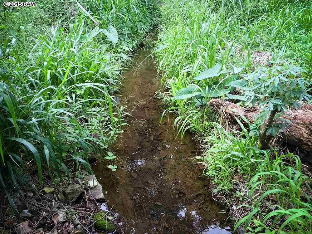 Photo 2 of  0 River Rd, Wailuku, Maui, Hawaii