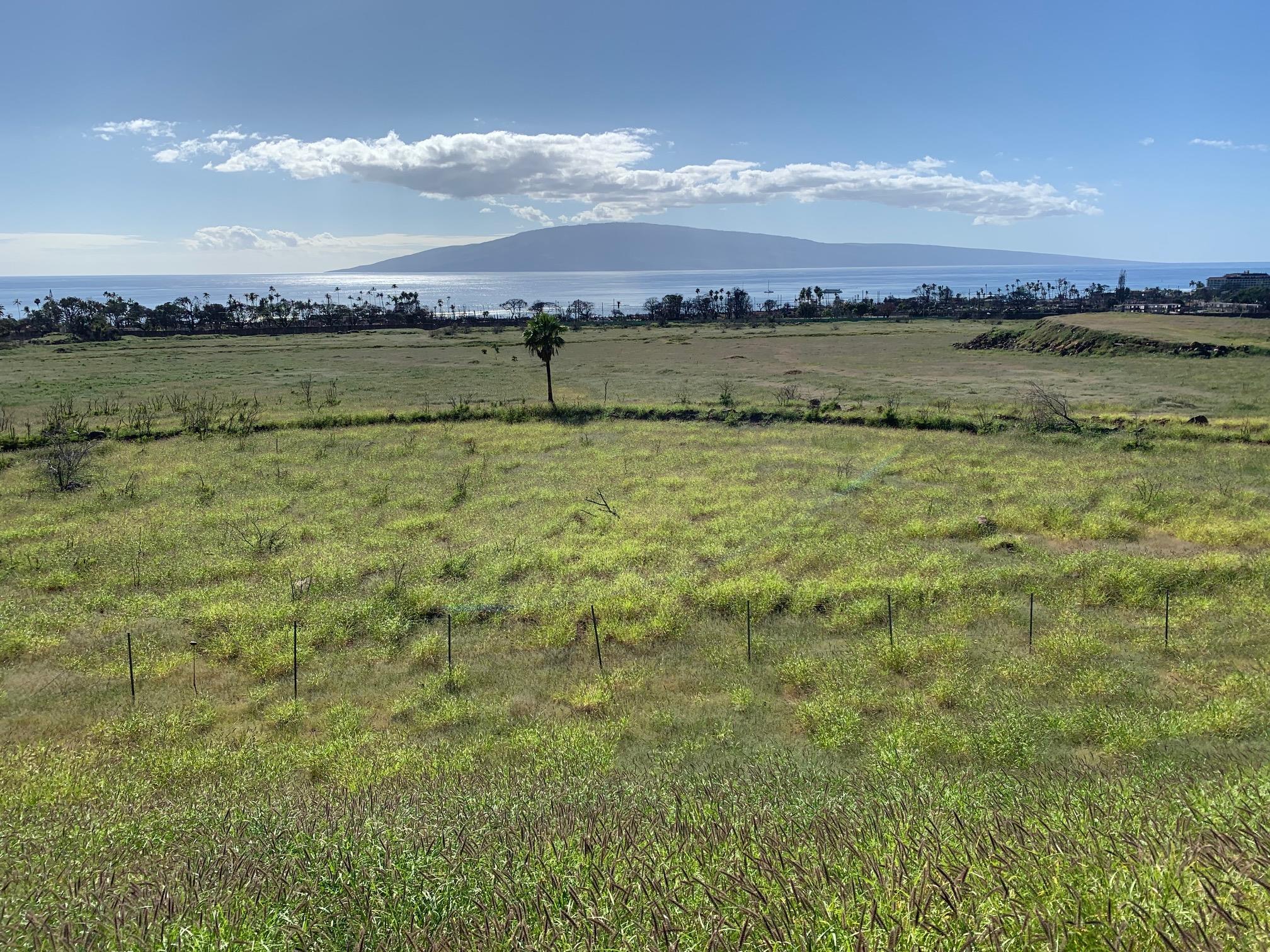 Maui Property Image