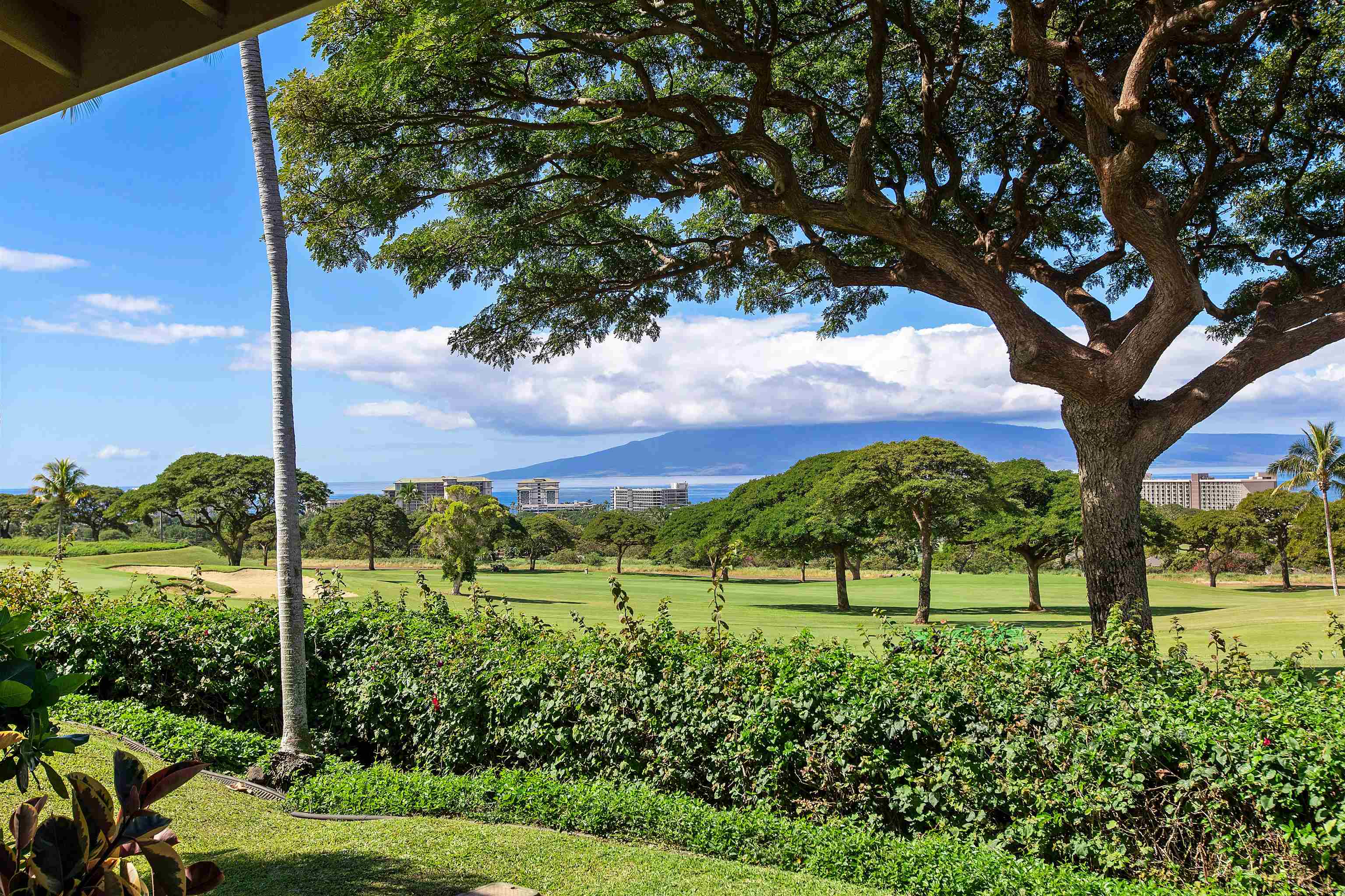 Maui Property Image