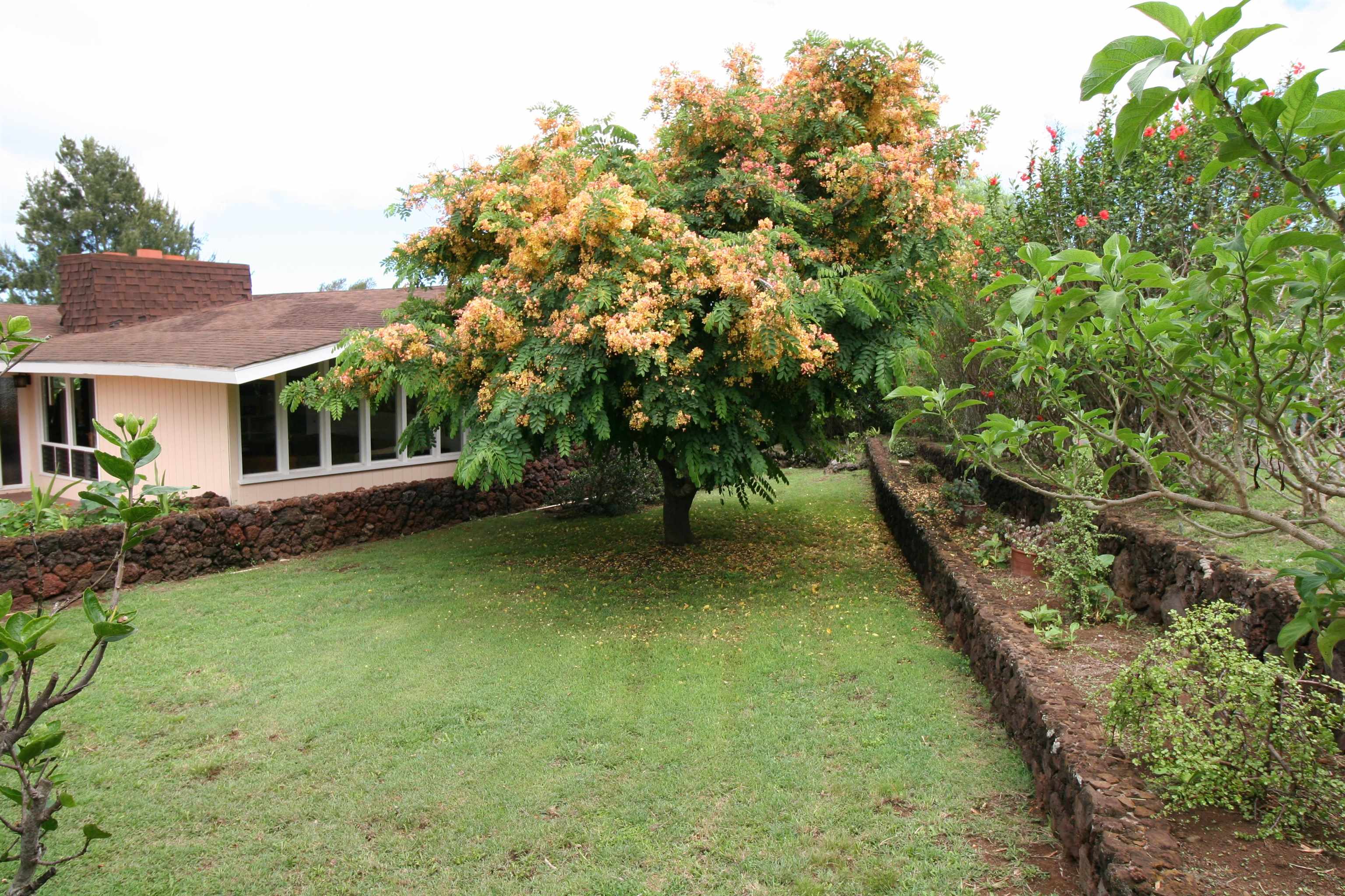 Maui Property Image