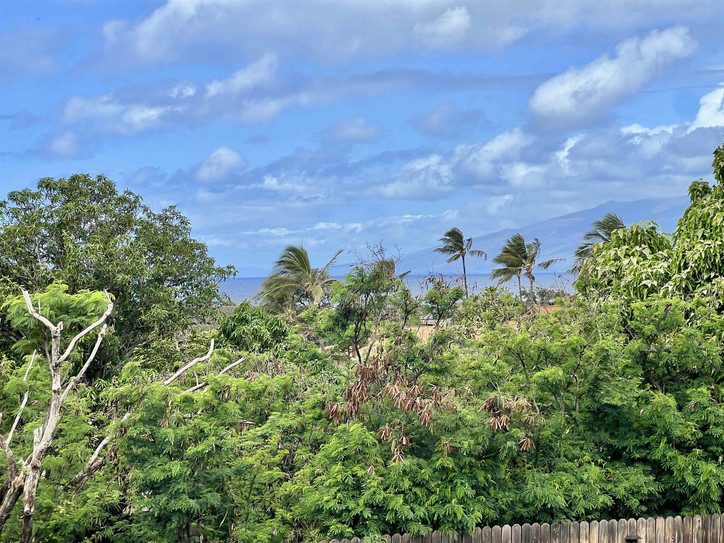 Maui Property Image