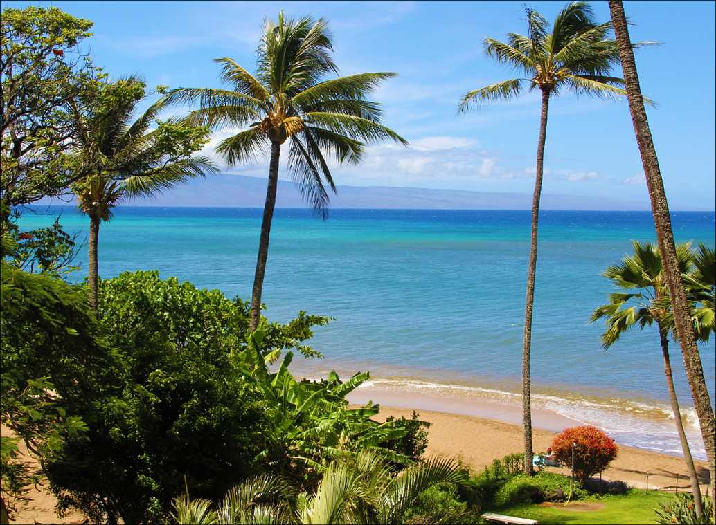 Maui Property Image