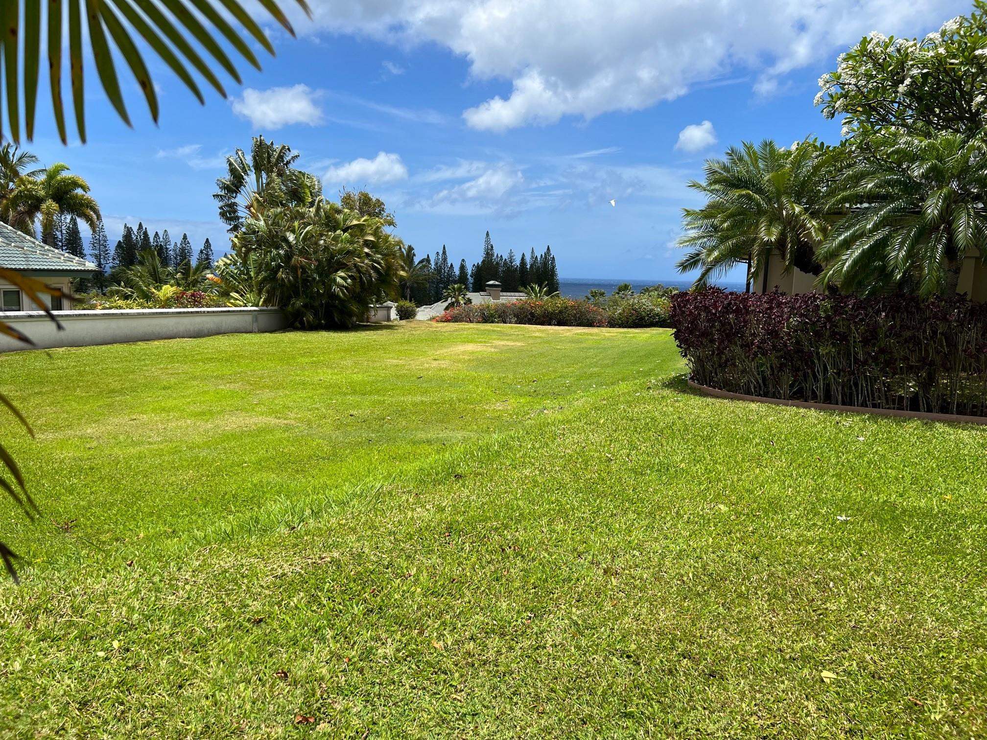 Maui Property Image