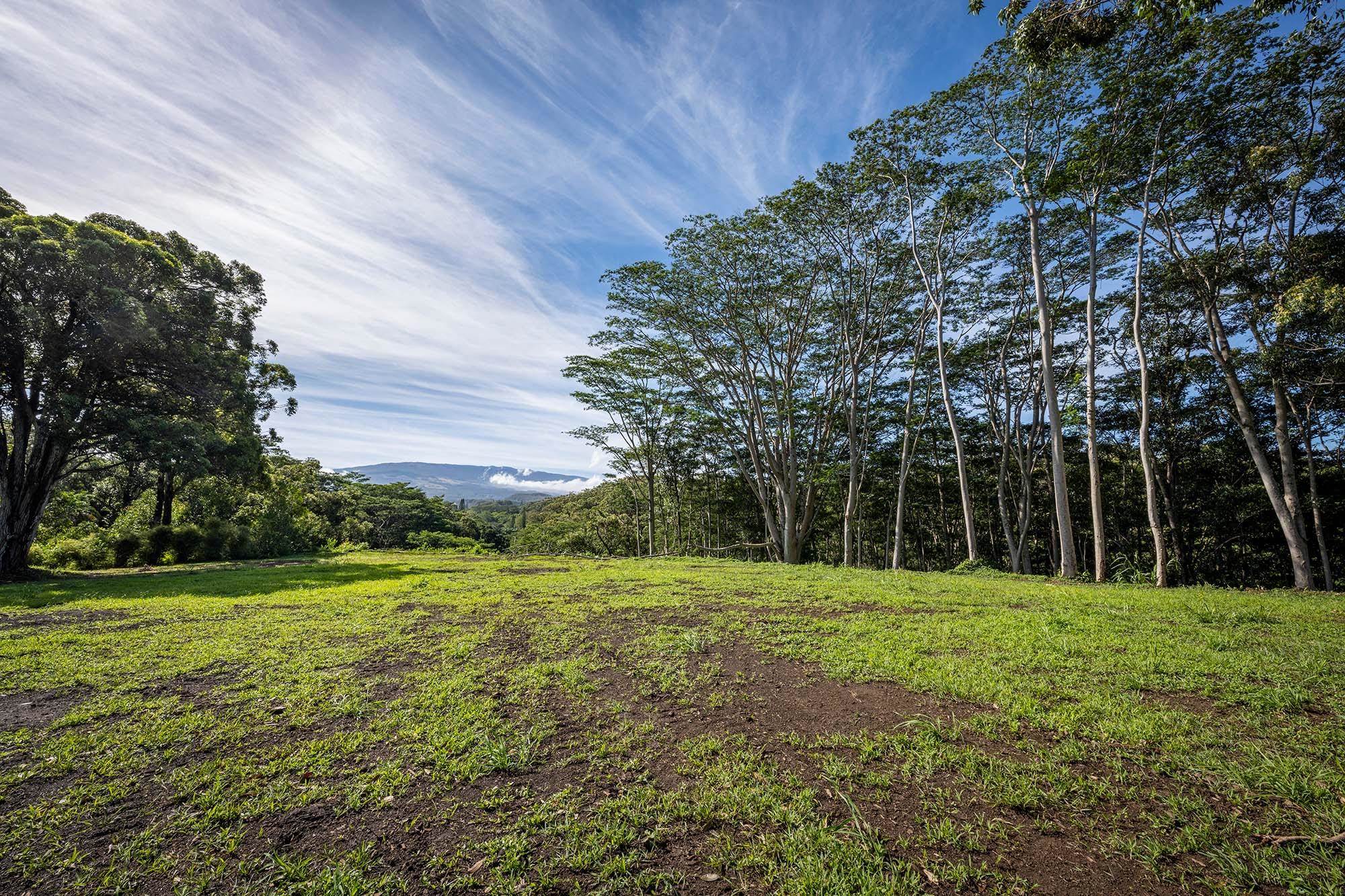 Maui Property Image