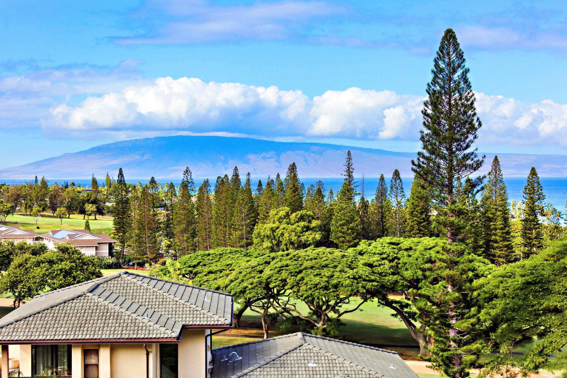 Maui Property Image