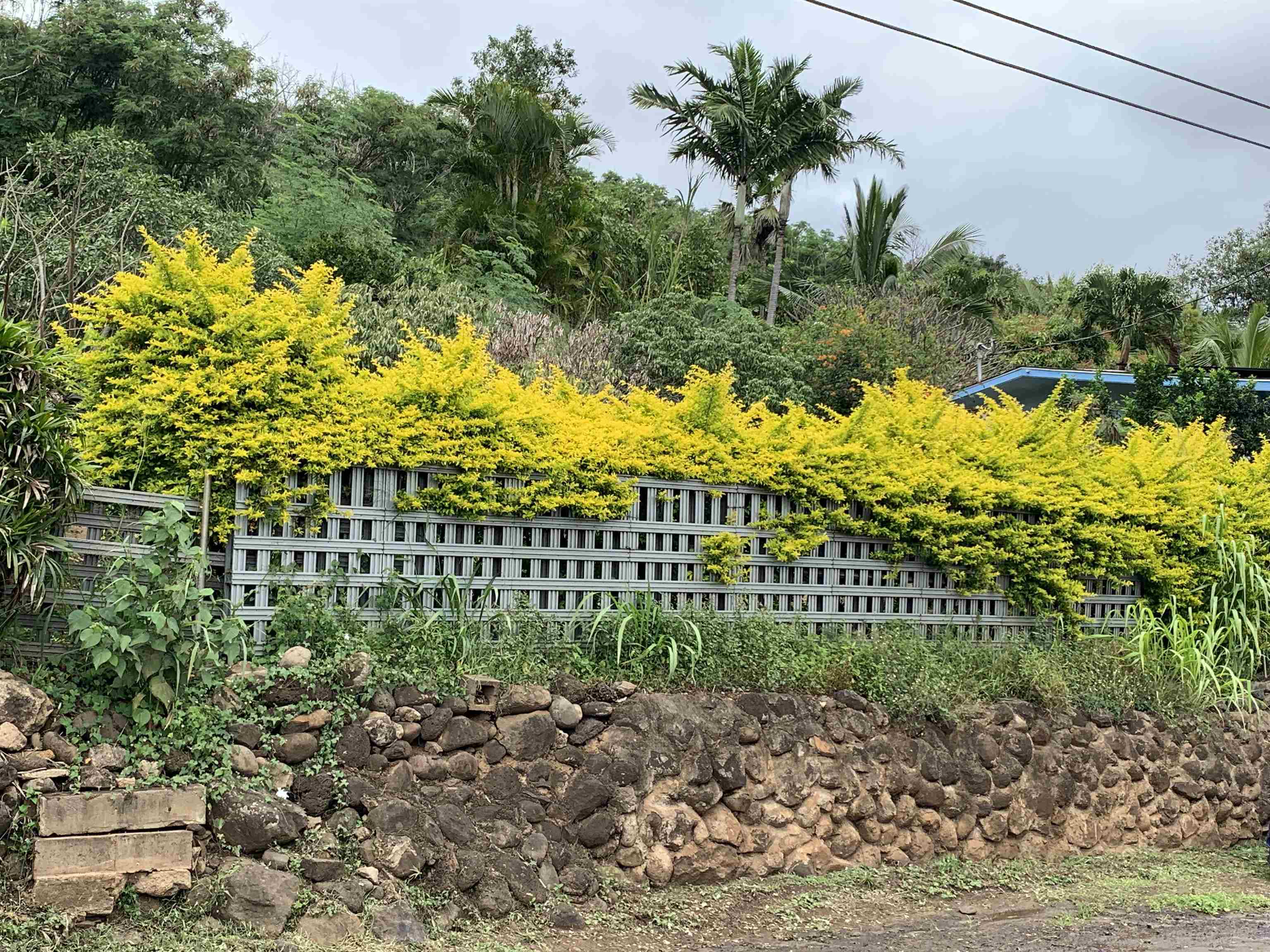 Maui Property Image