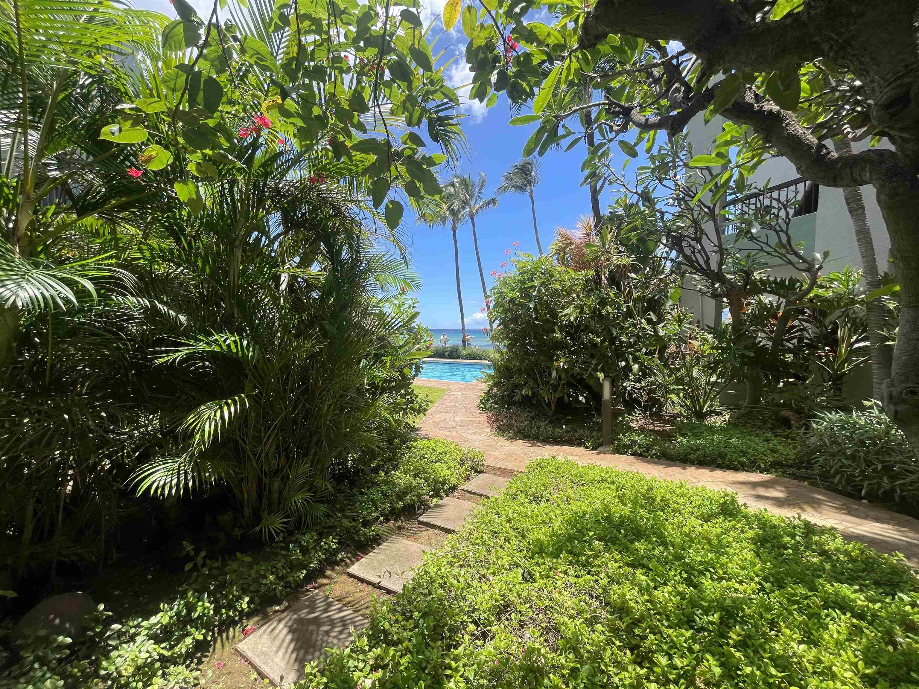 Maui Property Image