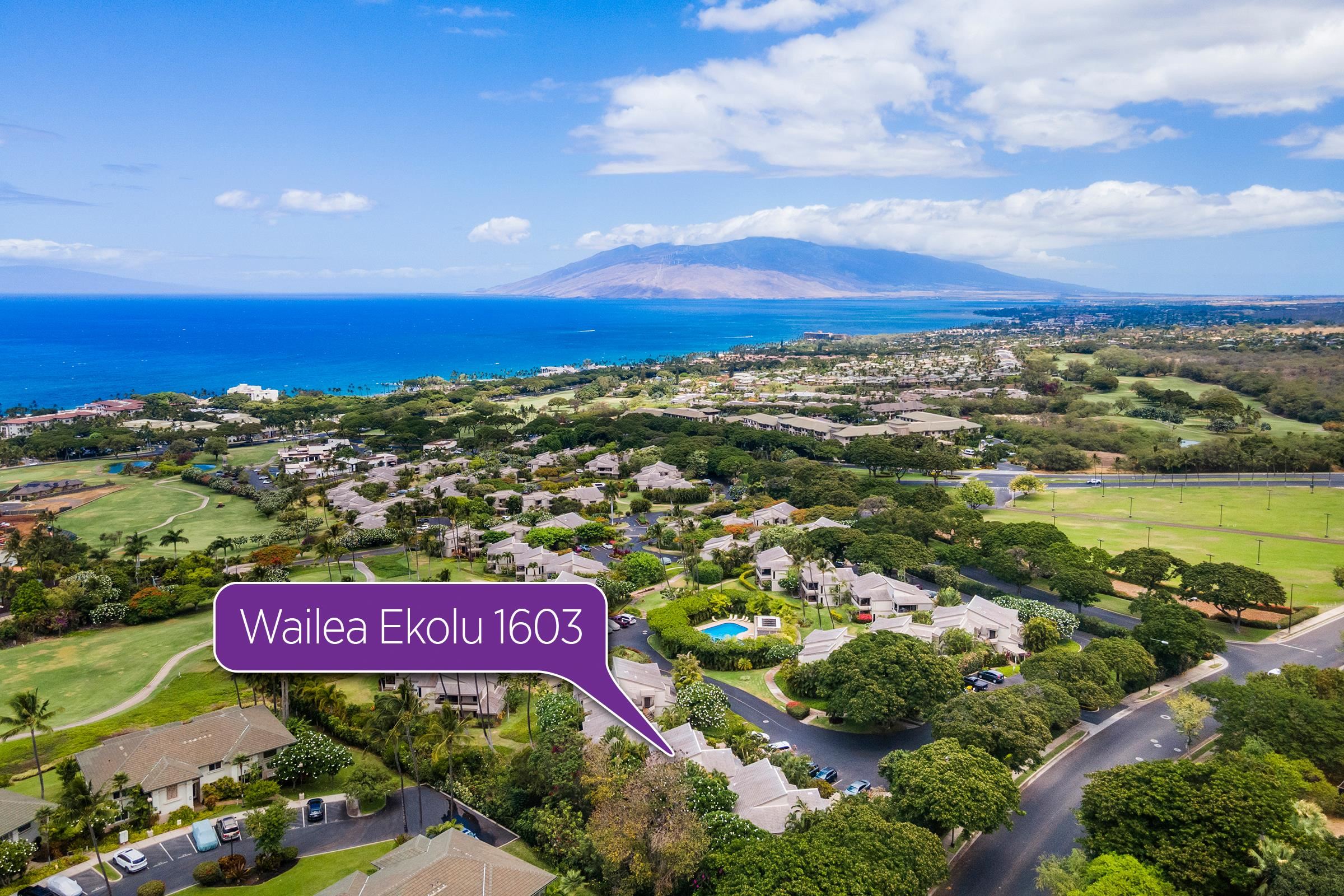 Maui Property Image