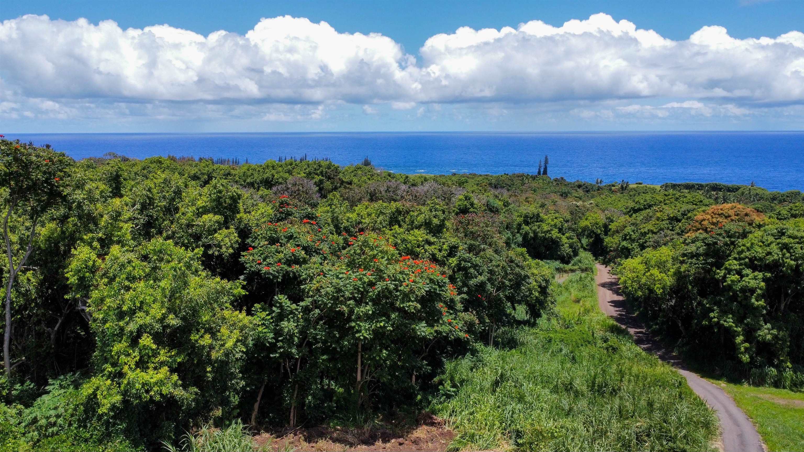 Maui Property Image