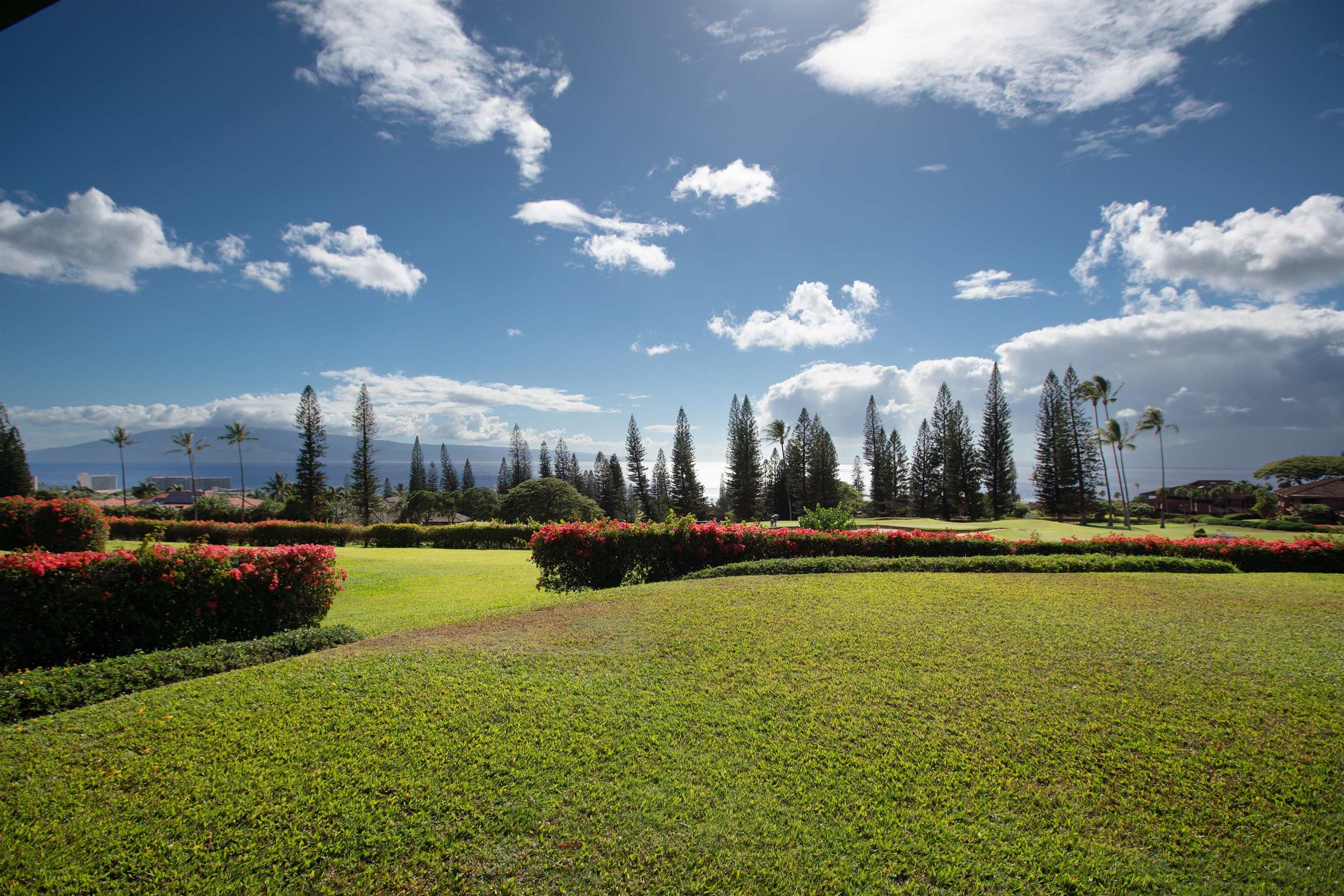 Maui Property Image