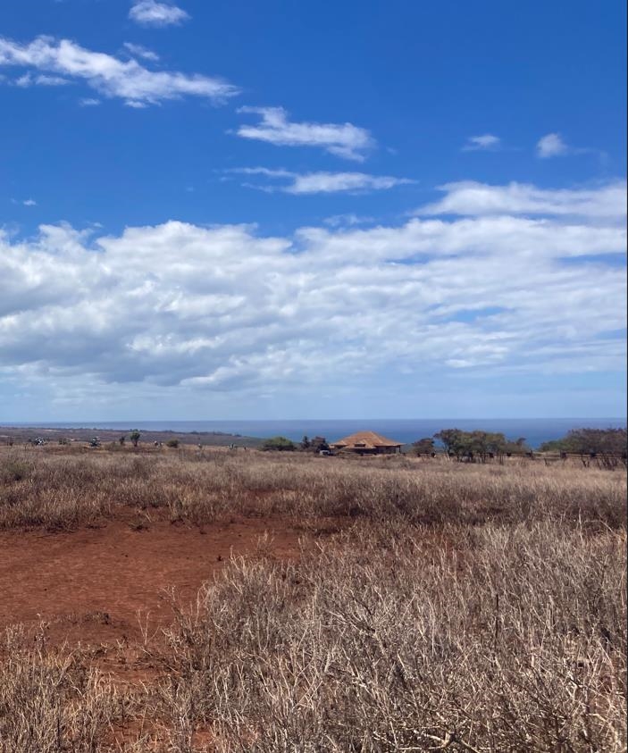 Maui Property Image