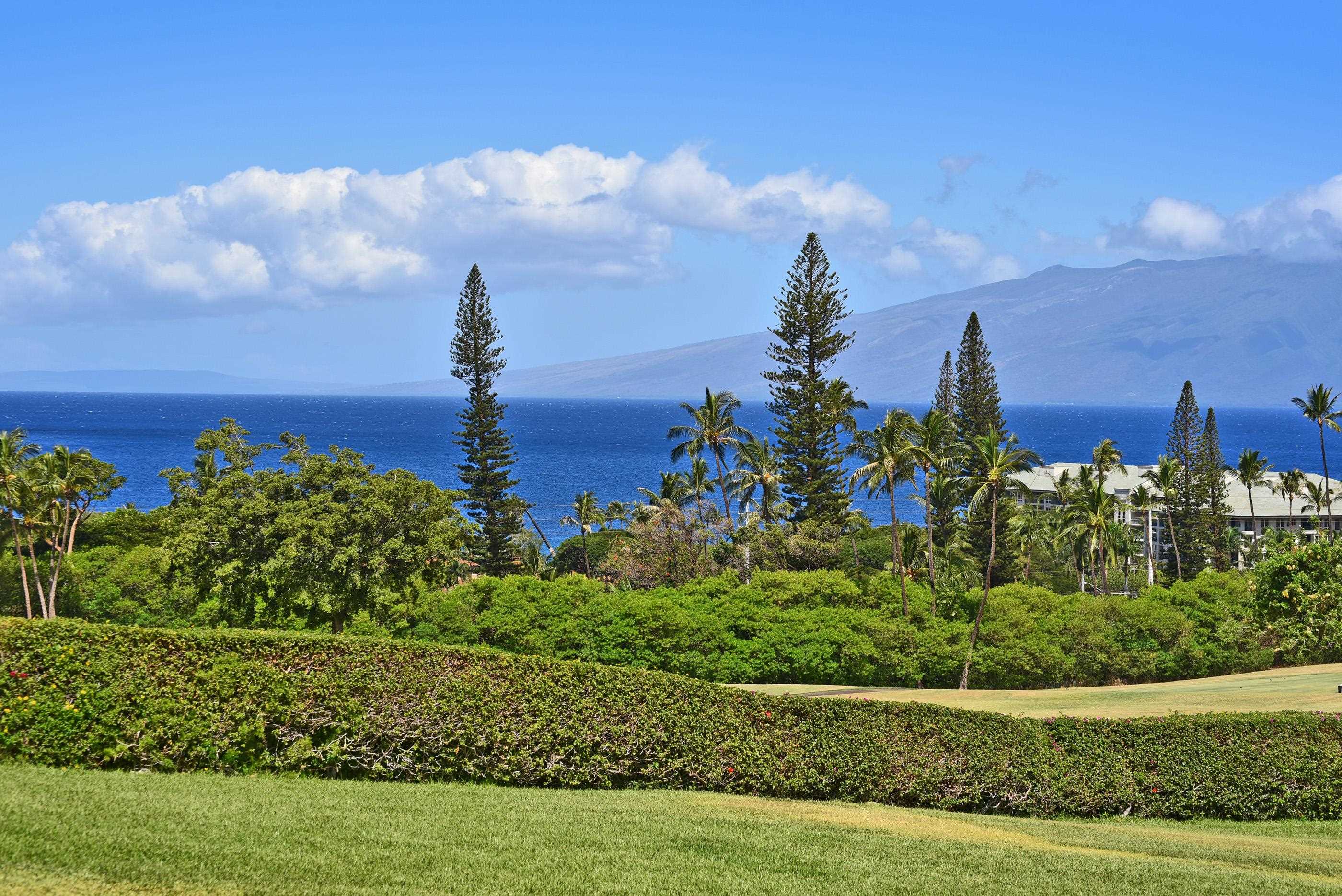 Maui Property Image