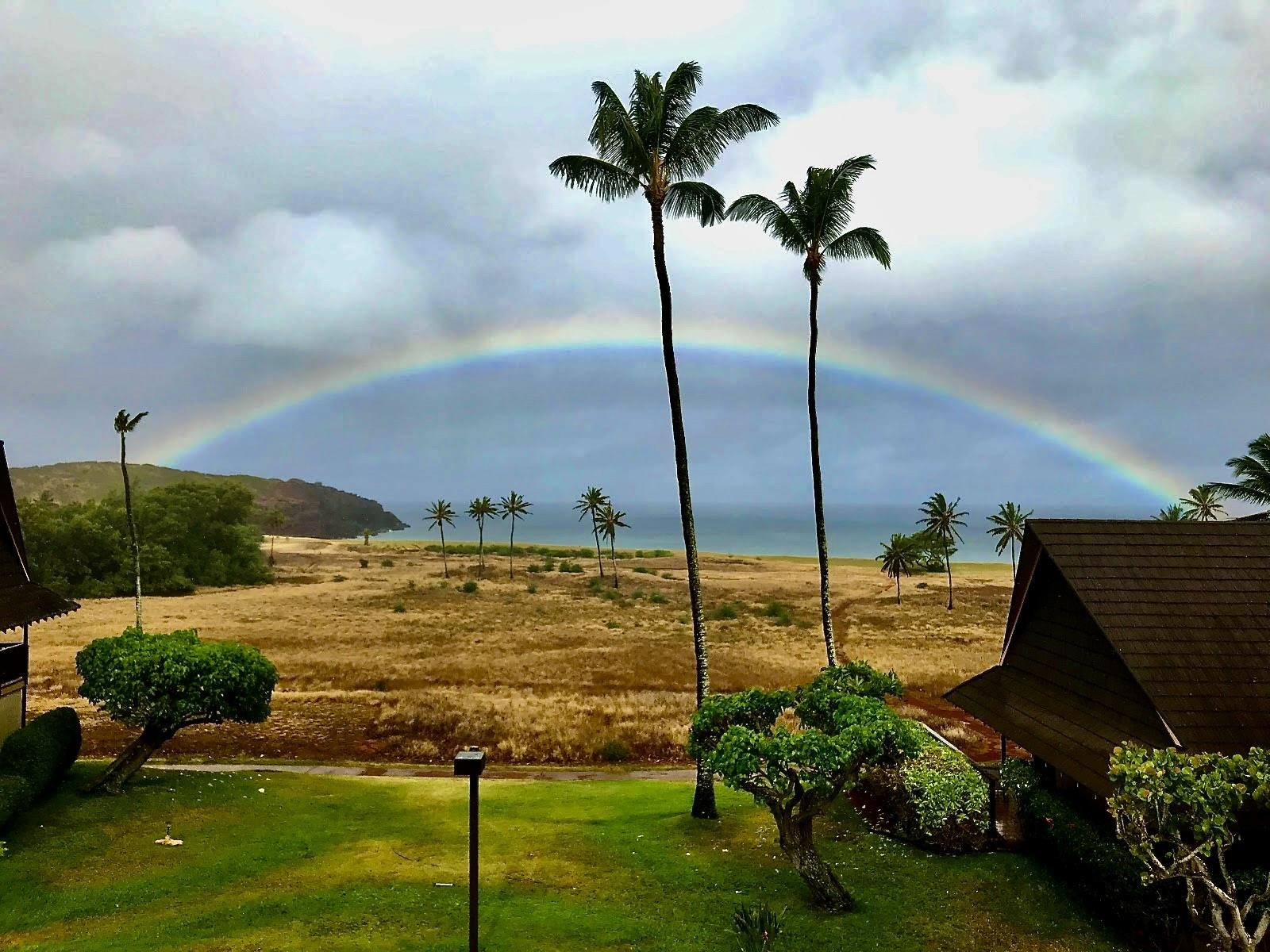 Maui Property Image