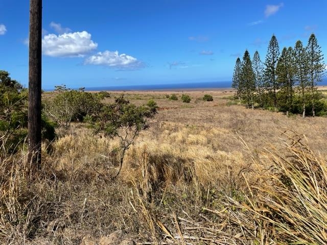 Maui Property Image