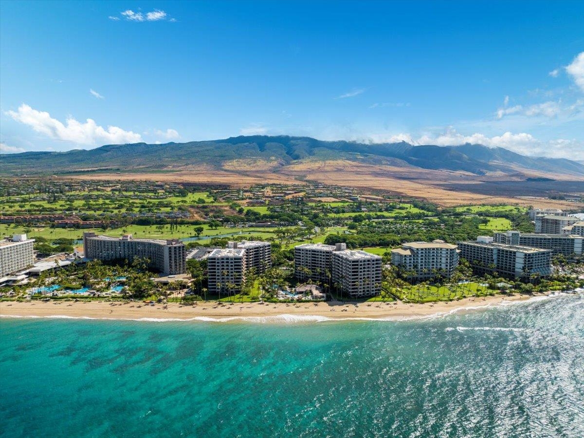 Maui Property Image