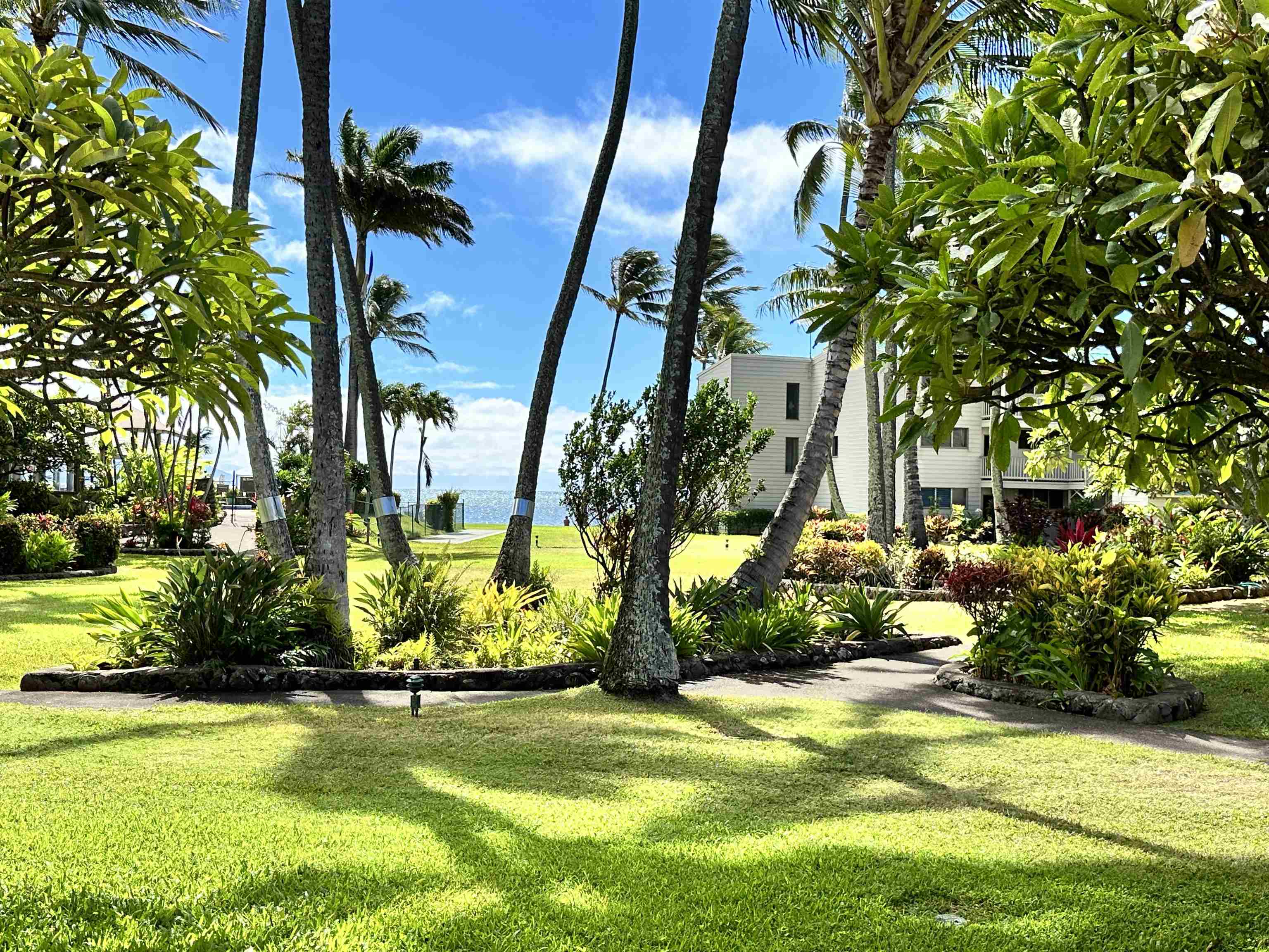 Maui Property Image