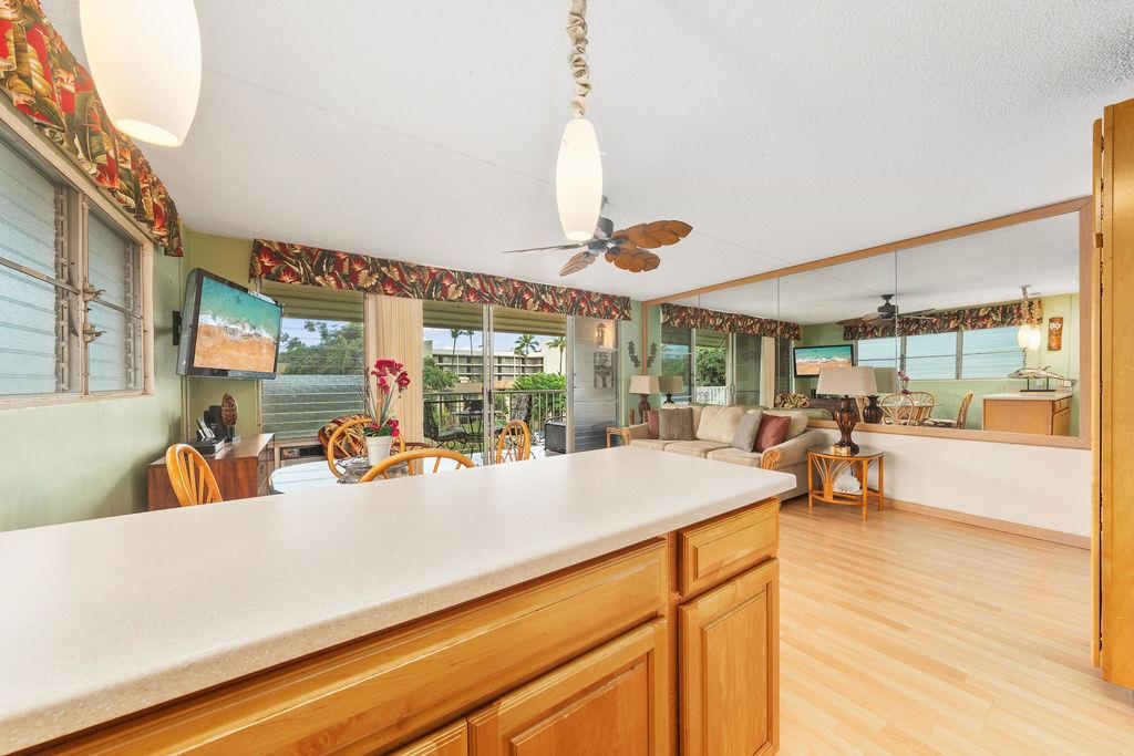 Maui Property Image