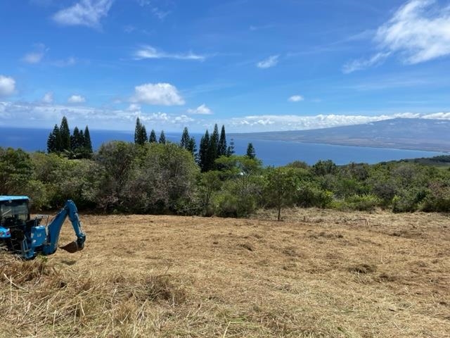 Maui Property Image