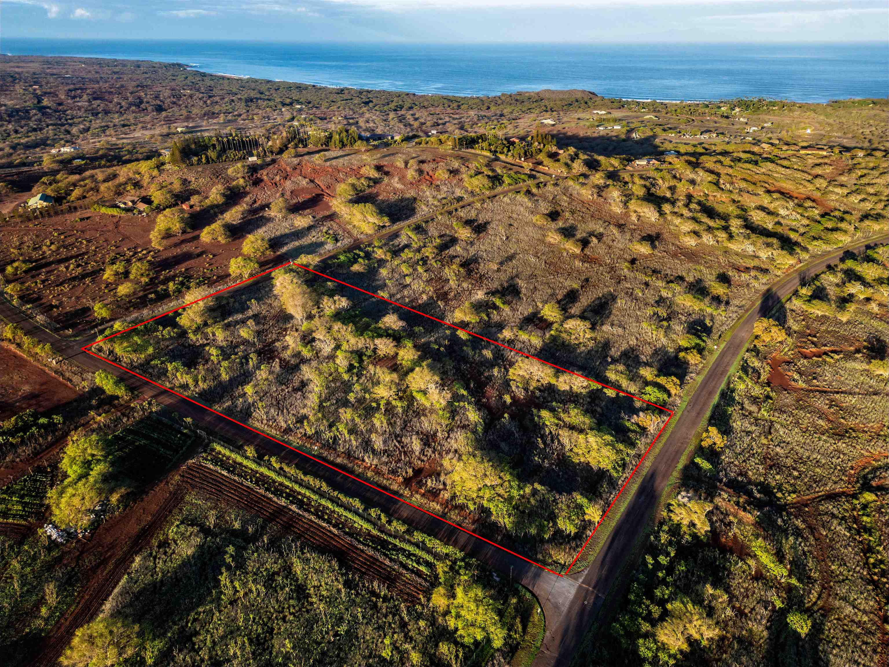 Maui Property Image