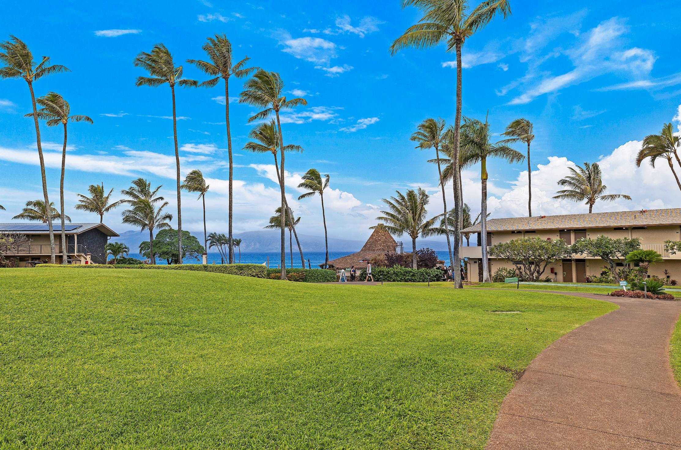 Maui Property Image