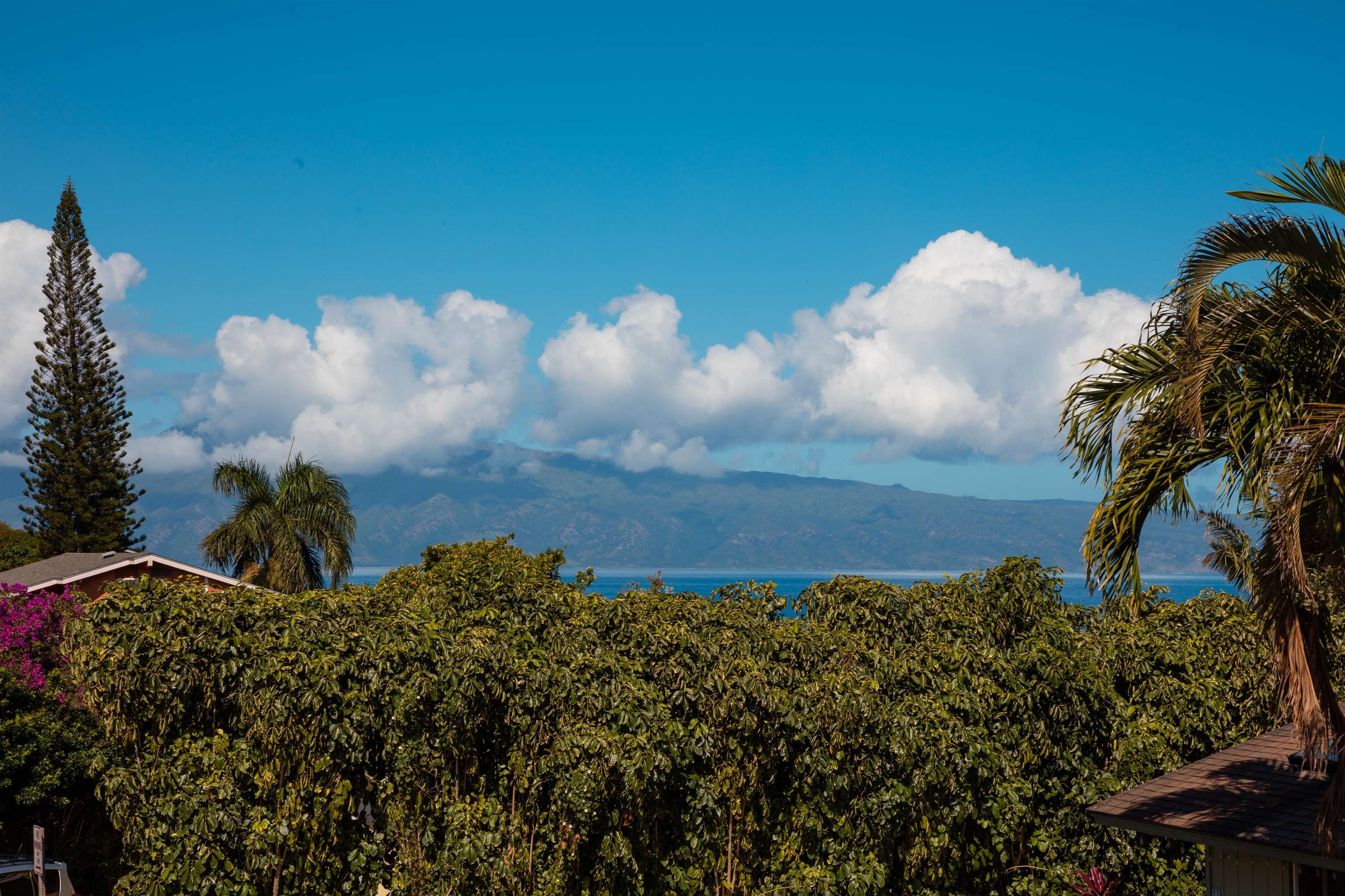 Maui Property Image