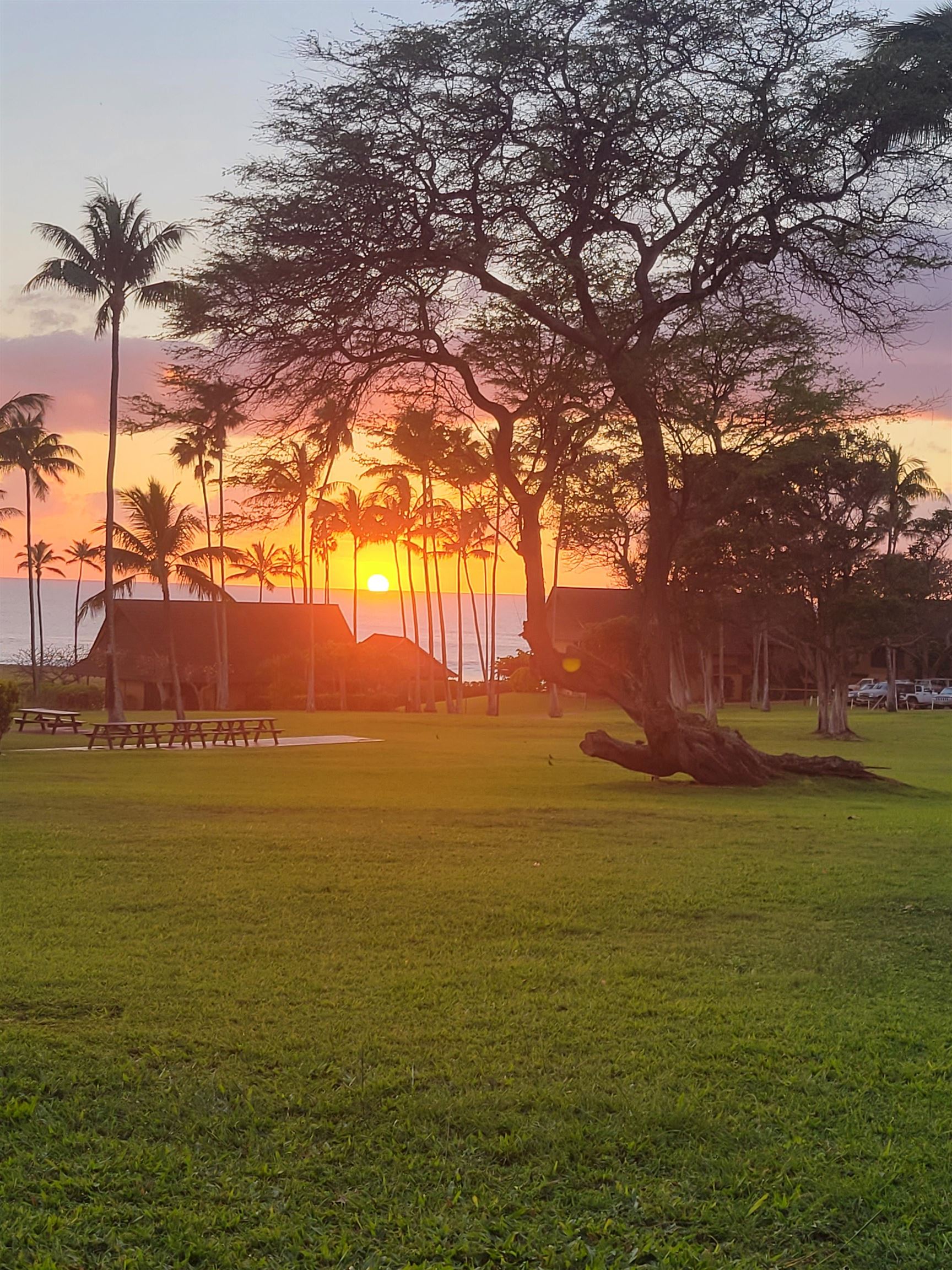 Maui Property Image