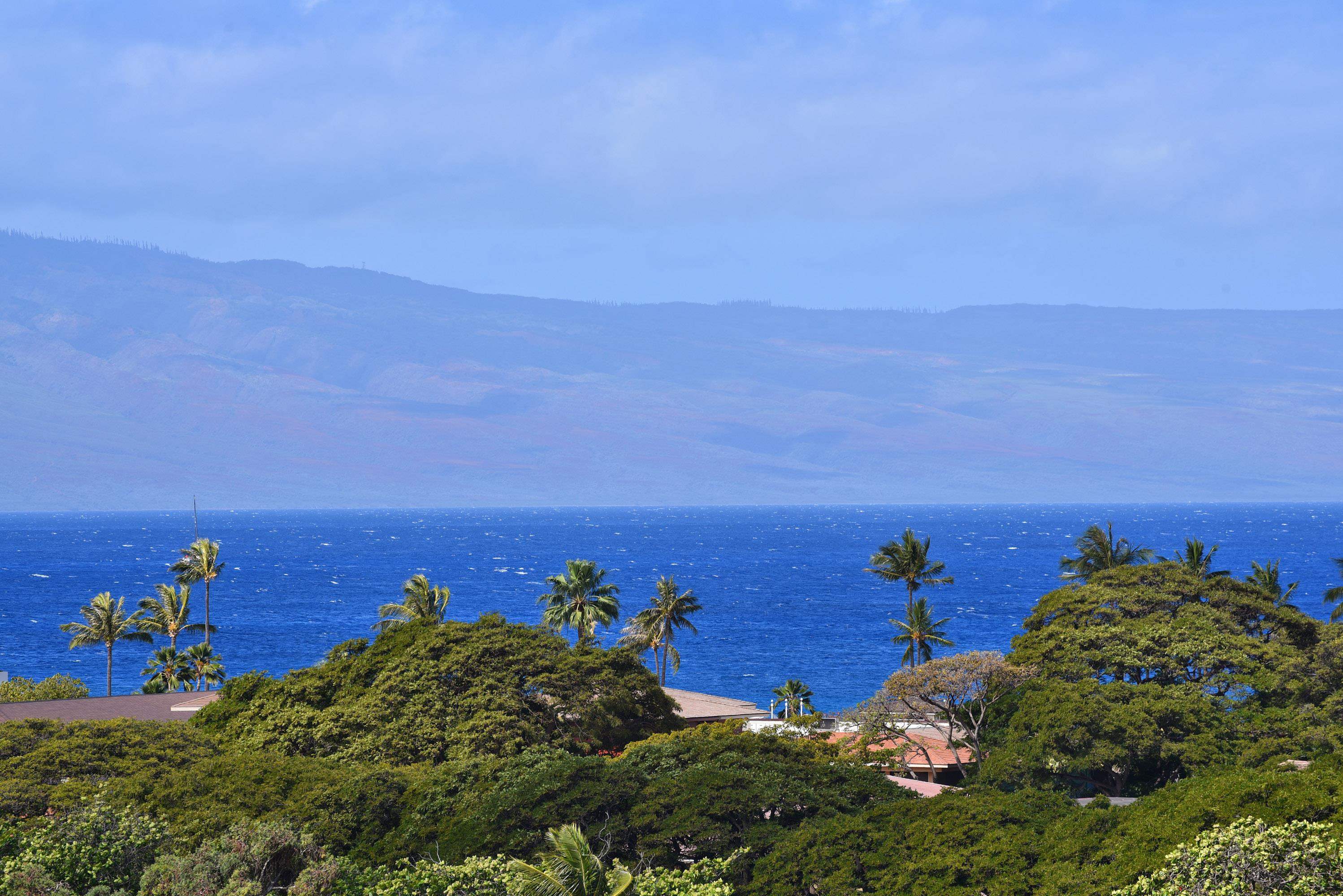 Maui Property Image