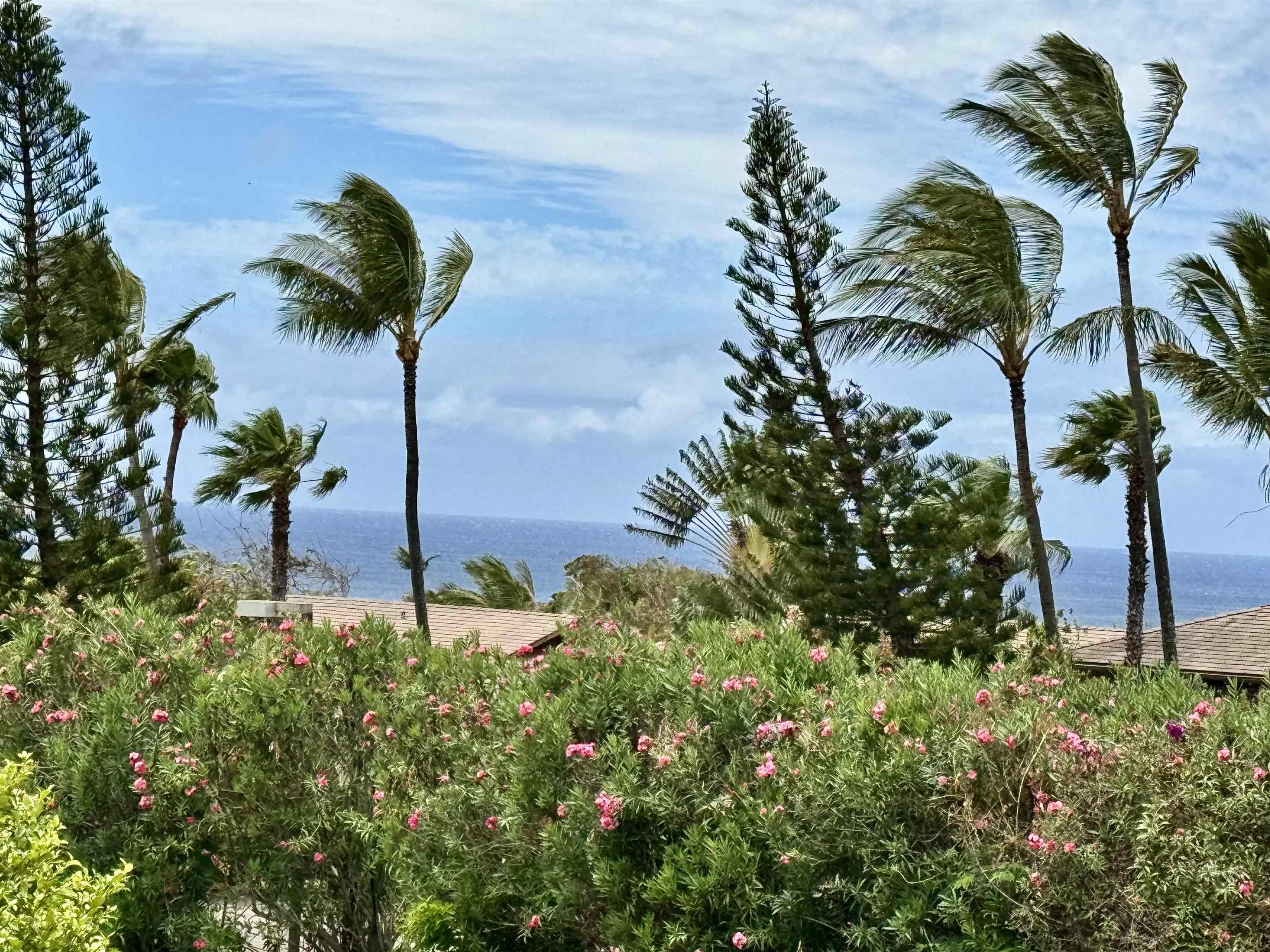 Maui Property Image