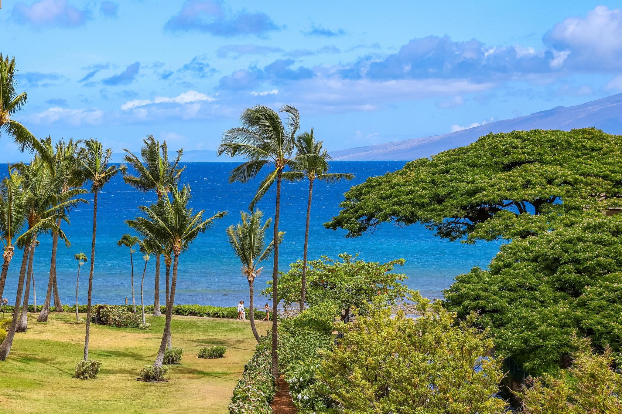 Maui Property Image