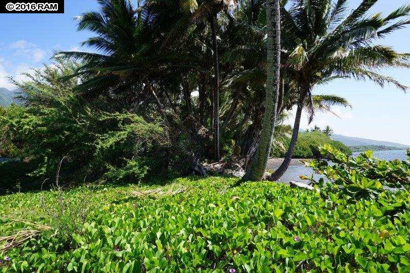 Molokai Land Sold 7220 Kamehameha V Hwy, Maui, Hawaii MLS 369022
