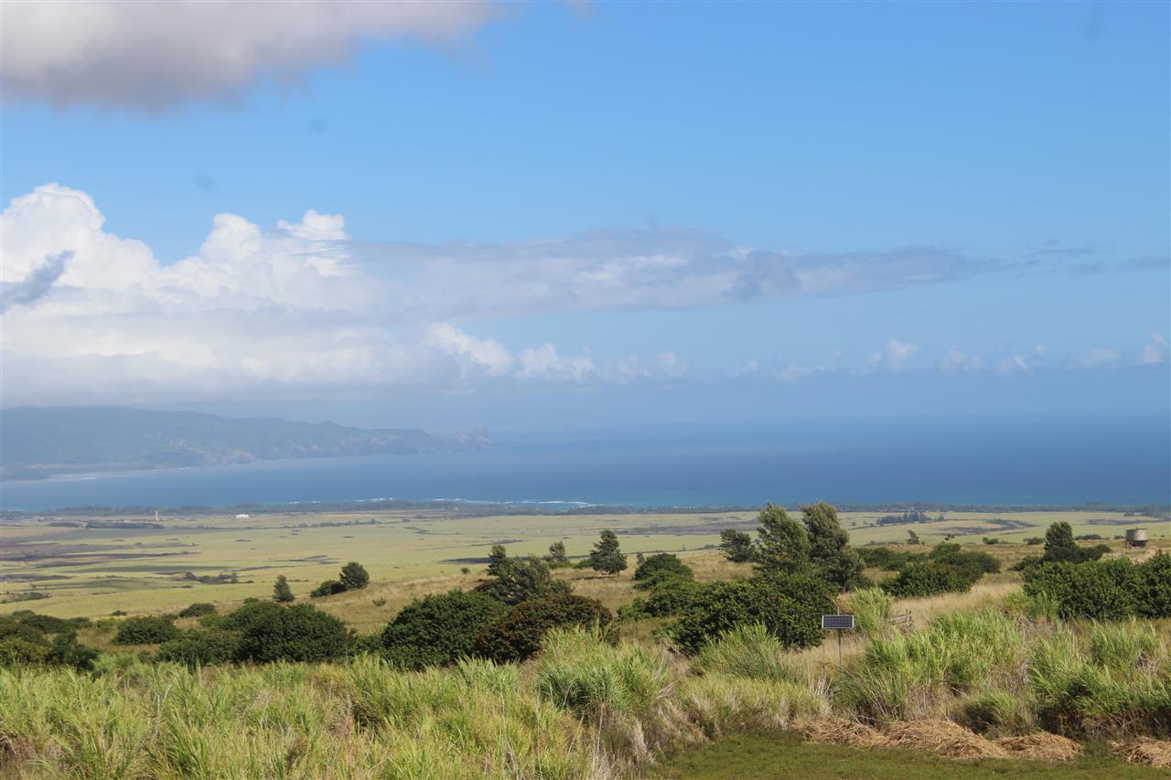 Photo of  131 Ahuwale Pl, Makawao/Olinda/Haliimaile, Maui, Hawaii