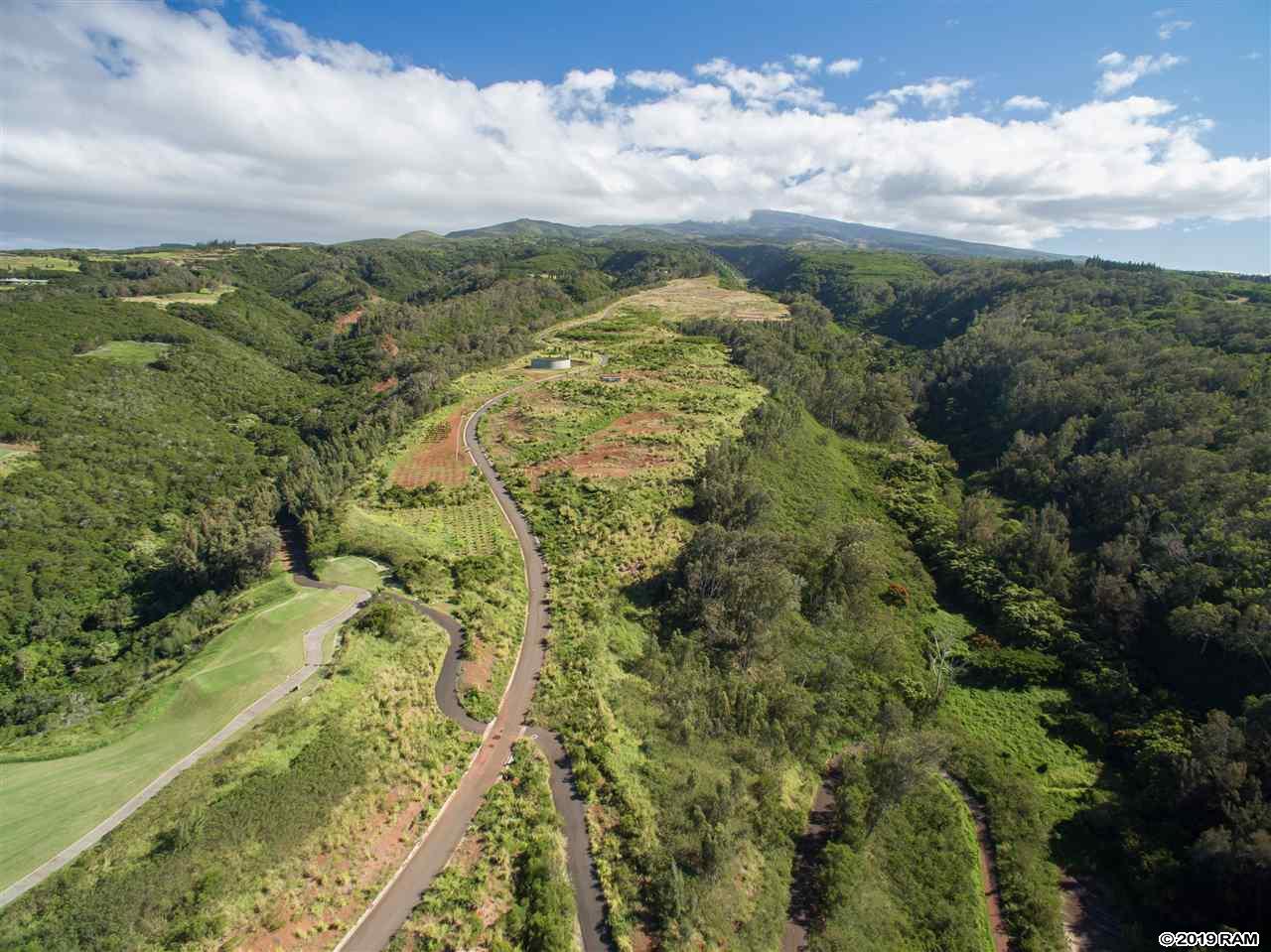 Kapalua Land Sold 300 Mahana Ridge Pl, Maui, Hawaii MLS 382007