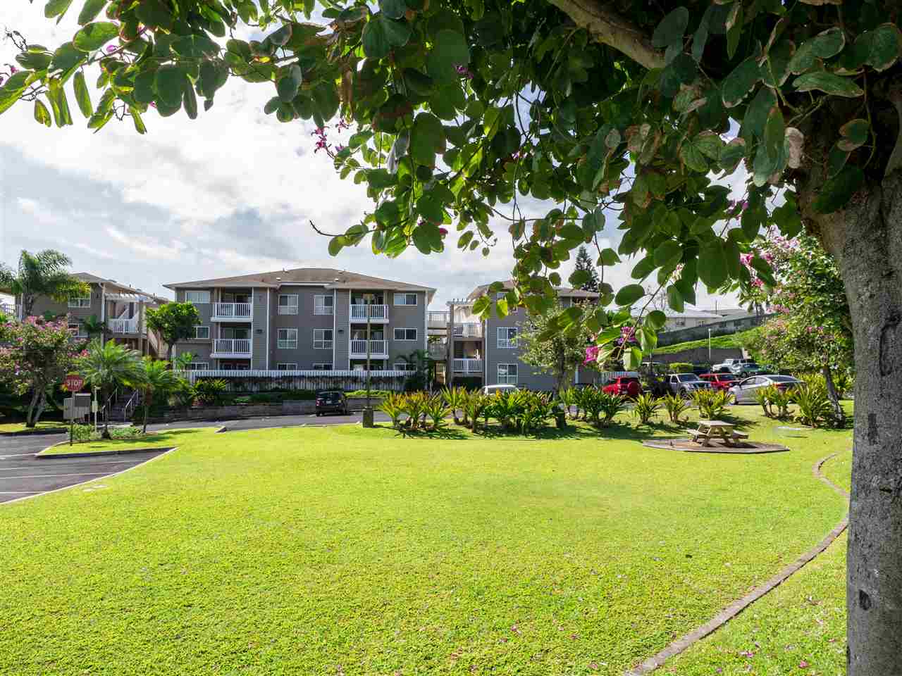 Kahului Condo Sold Kahului Ikena Unit 524, Maui, Hawaii