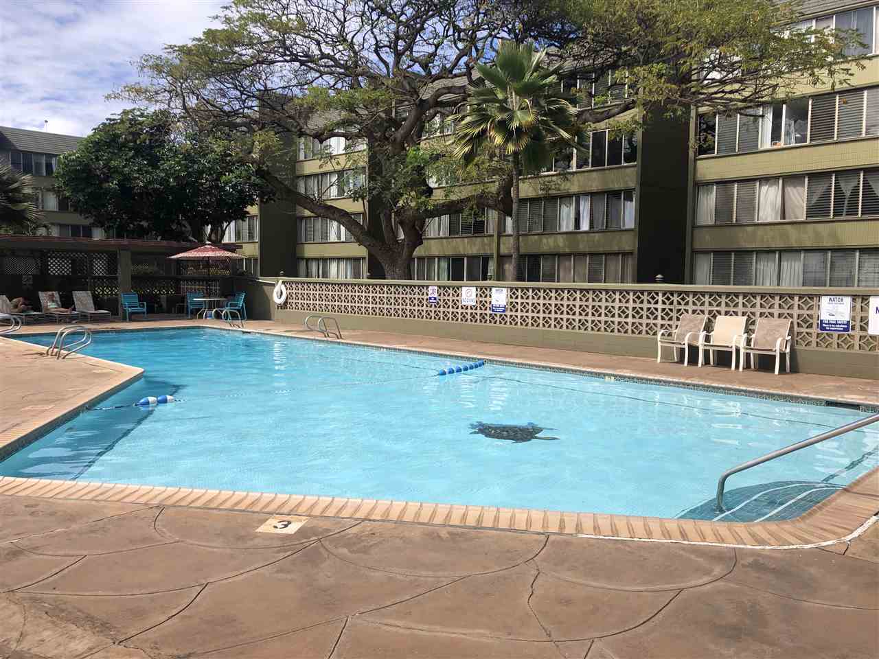 Kahului Condo Sold Harbor Lights Unit A206, Maui, Hawaii