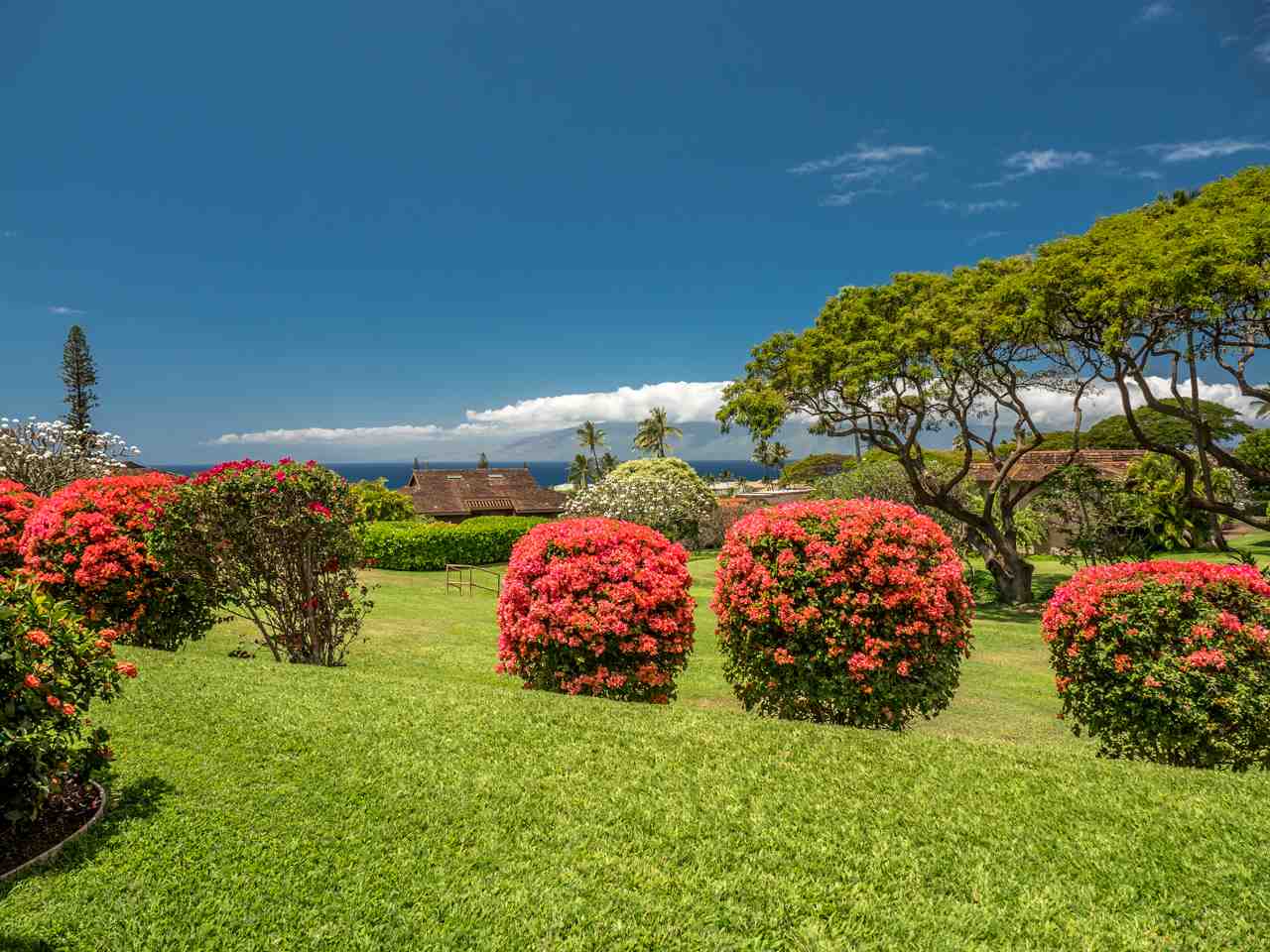 Photo 4 of  50 PUU ANOANO St, Kaanapali, Maui, Hawaii