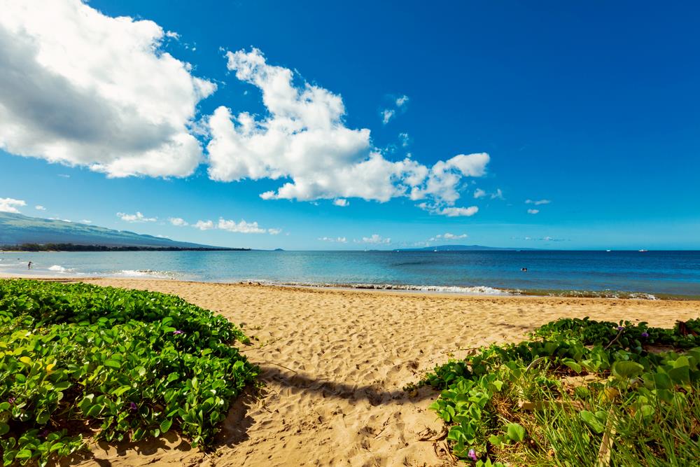 Kihei Condo Sold Kihei Sands Unit B1, Maui, Hawaii