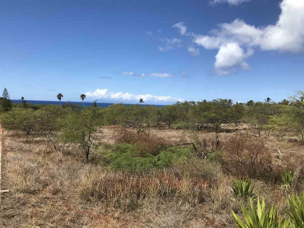 Molokai Land 50 Kaiaka Rd, Maui, Hawaii MLS 384530
