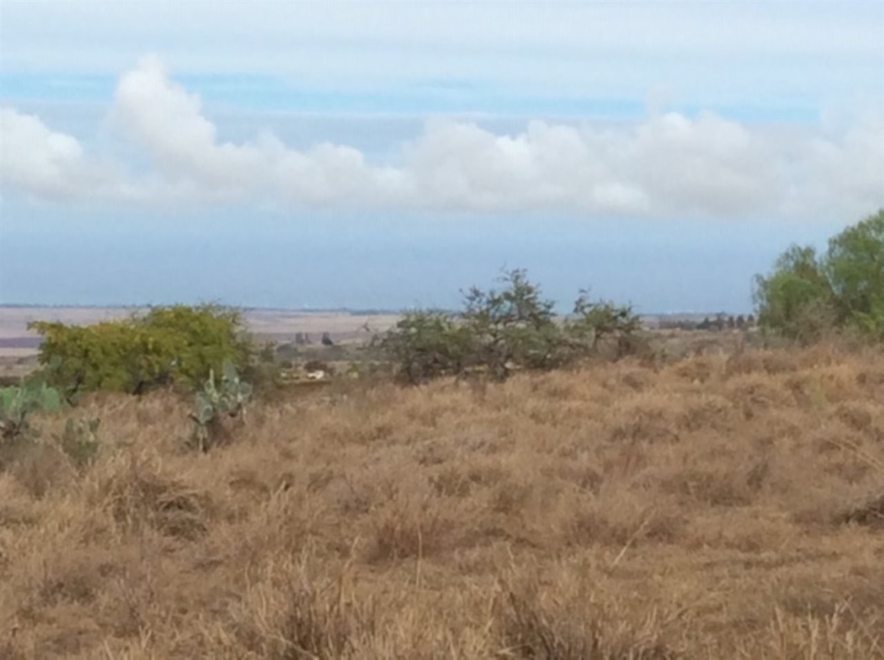 Photo 2 of  Calasa Rd, Kula/Ulupalakua/Kanaio, Maui, Hawaii