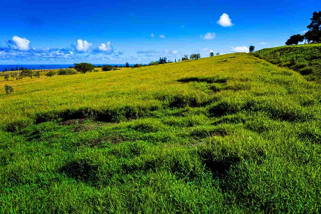 Haiku Land Sold 0 Kokomo Rd, Maui, Hawaii MLS 385807