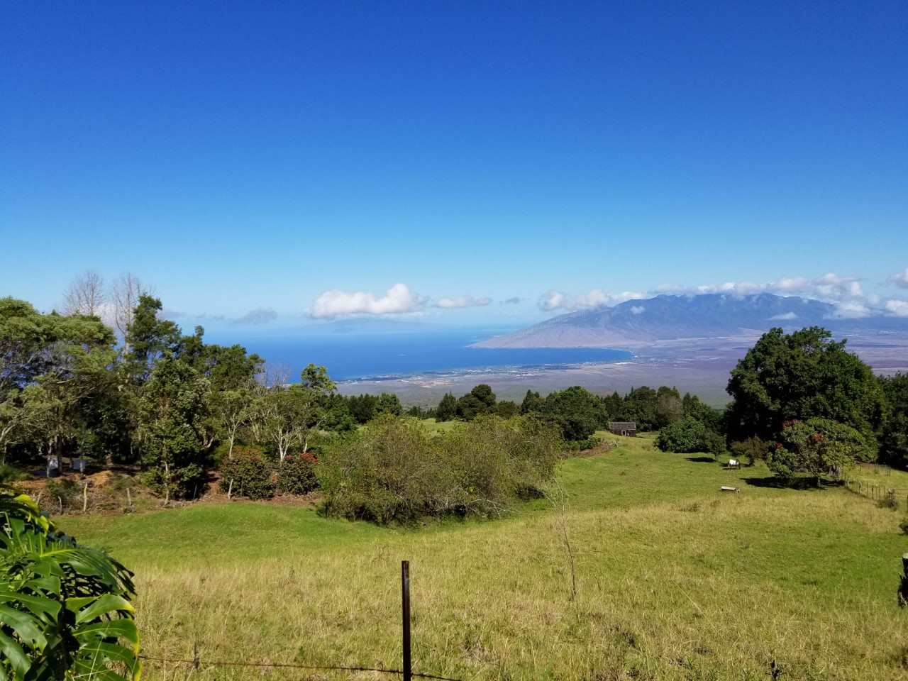 Photo of  Middle Rd, Kula/Ulupalakua/Kanaio, Maui, Hawaii