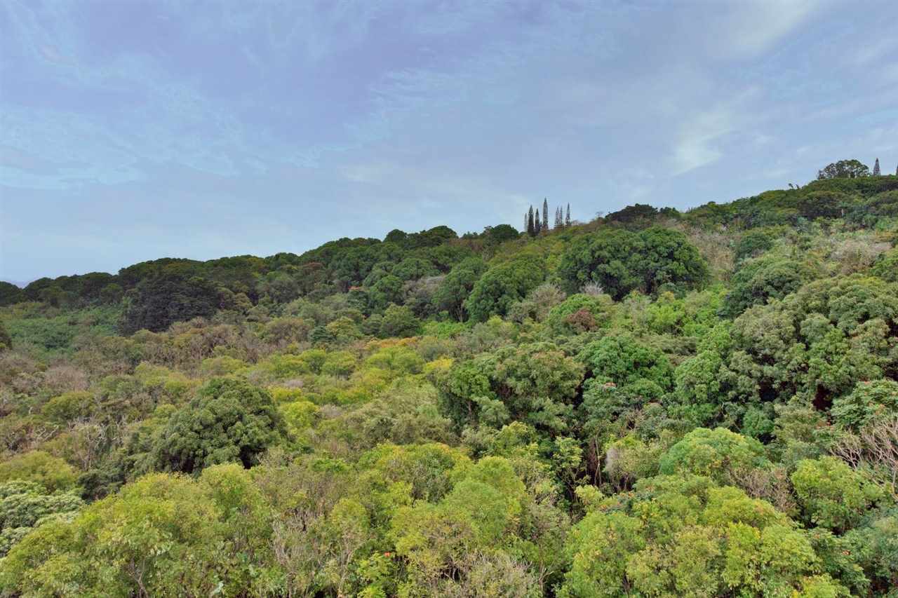 Hana Land For Sale Nahiku Rd, Maui, Hawaii MLS 386596