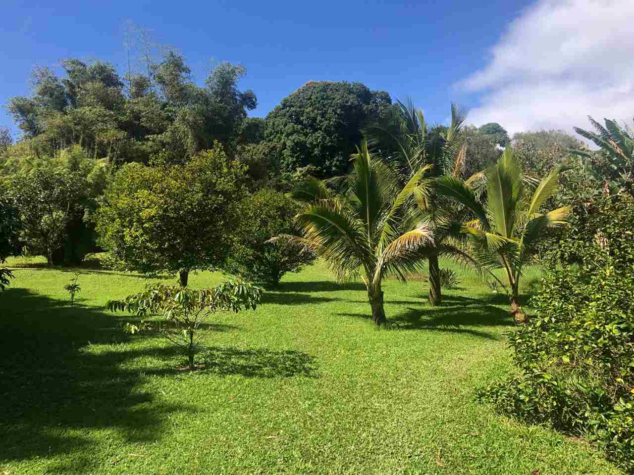 Hana Land Sold 344 Nahiku Rd, Maui, Hawaii MLS 386794