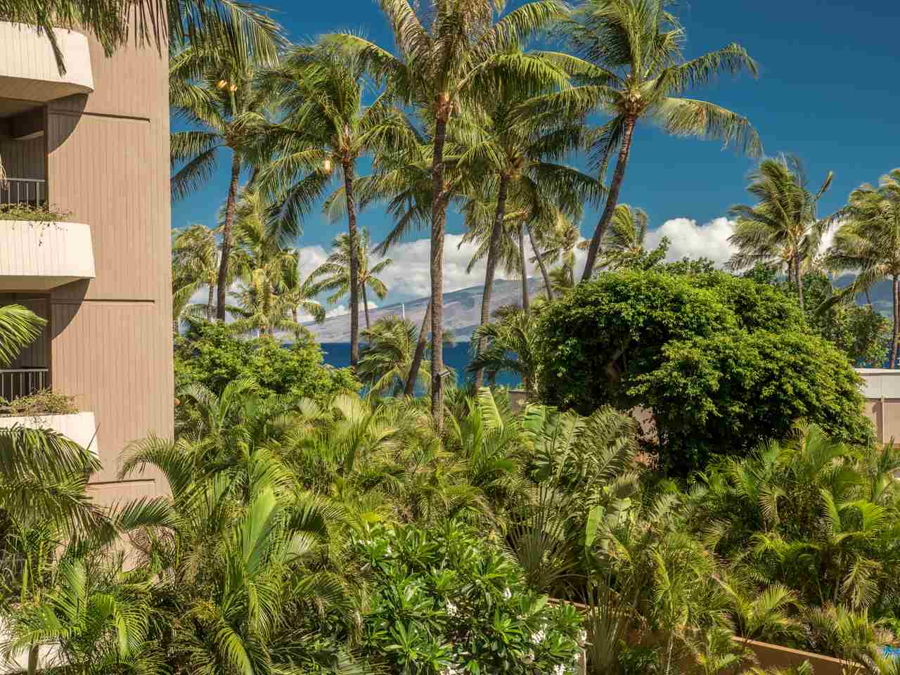 Kaanapali Condo Sold Kaanapali Alii Unit II302, Maui, Hawaii